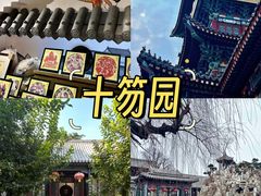 -食鸡公社辣子鸡·潍坊菜·烧烤