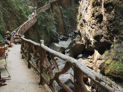 -鹿院坪生态旅游景区