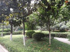 -西京医院