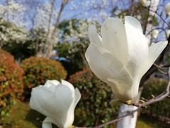 -无锡市市民中心