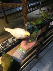 -酷嗒动物文化乐园(cutezoo西溪乐天城店)