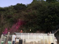 -Rock Bar Bali(Bali)