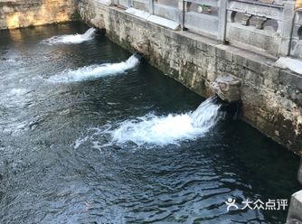 打卡济南,可能是第三次来济南了吧,这次是全家出动