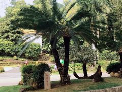 -深圳仙湖植物园