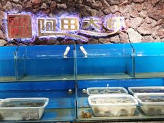 水产区-阿田大虾(招远店)