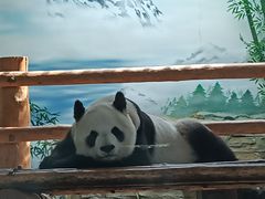 -西霞口神雕山野生动物世界