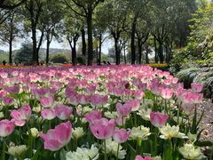 -上海鲜花港