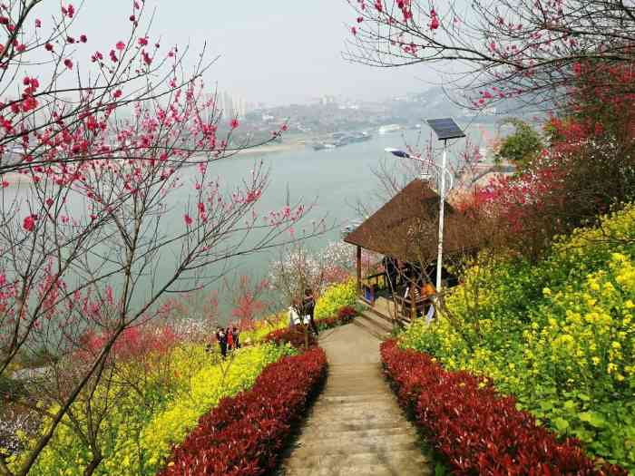 南山桃花园售票处