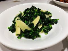 -新吉士·上海菜(浦东LCM置汇旭辉店)