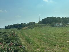 -临江后街鳝丝(临江店)