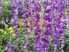 -宝岩生态观光园