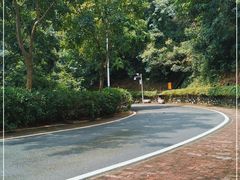 -火炉山森林公园