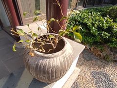 -豪客来牛排(大汉口城店)