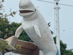 -大连老虎滩海洋公园