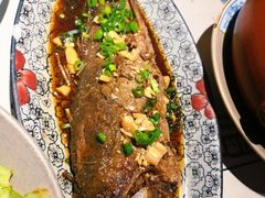 -酒阳蒸经小酒馆(解放碑店)