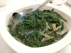 上汤枸杞-惠爱餐厅