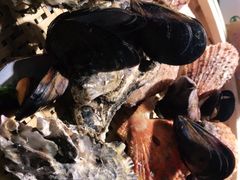 -旺角小渔村(幸福中路店)