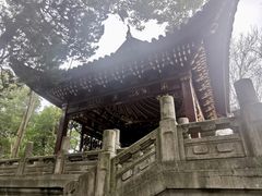-汇龙潭