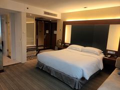 -上海浦东假日酒店