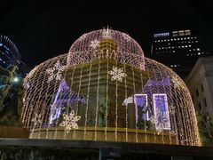 -新世界百货(明洞总店)