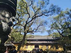 -普陀山风景名胜区-法雨禅寺