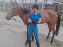 -松声马术俱乐部