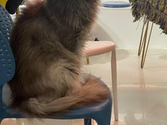 -平行世界·猫咖(首经贸店)
