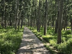 -森林公园(尖草坪区)