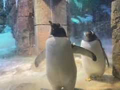 -波塞冬旅游度假区