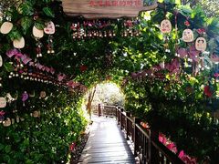 -石燕湖生态旅游景区