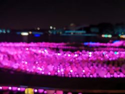 -SA MI hair salon烫染沙龙