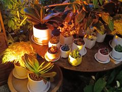 -火塘云南烧烤大排档