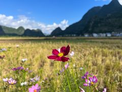 -万峰林风景区