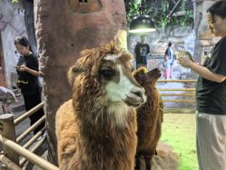 点击看大图 -Zoolung Zoolung动物主题公园(海信广场店)