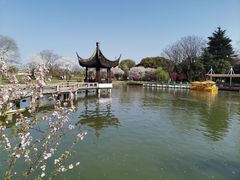 -苏州上方山国家森林公园