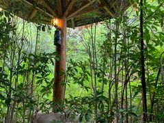 -深业半汤御泉庄温泉