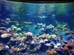 -北海·海洋之窗