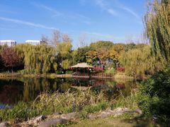 -澹台湖公园
