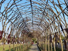 -武汉紫薇都市田园