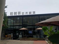 -桉树林A coffee 森林餐厅(三圣乡店)
