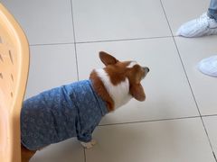 -怪兽屋·羊驼·猫咖·狗咖(俊华广场店)