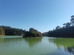 -广州白江湖森林公园