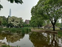 -泰丰公园