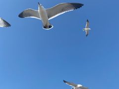 -星海广场