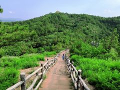 -磬锤峰森林公园