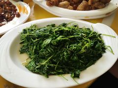 -绿野餐厅(上海动物园店)