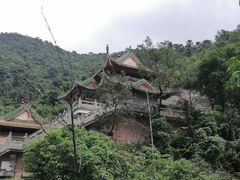 -南海湾森林生态园