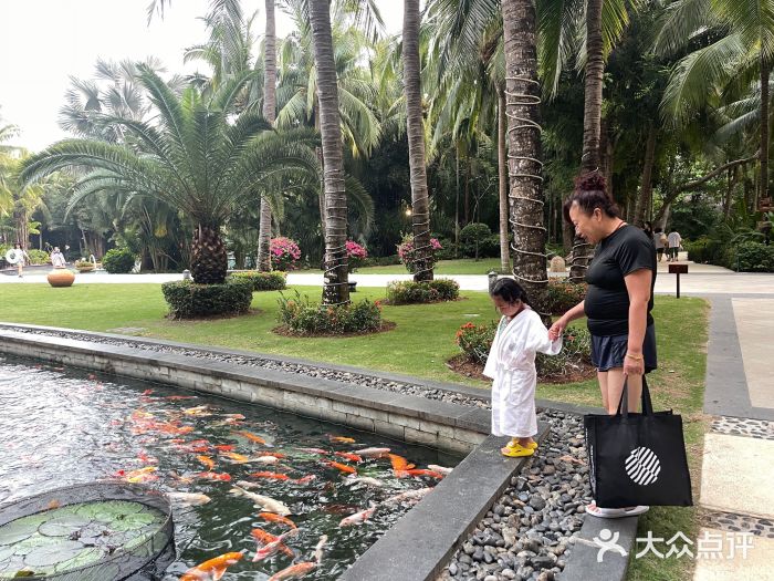 三亚湾海居雅高铂尔曼度假酒店图片