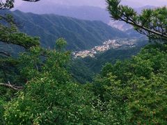 -王顺山国家森林公园