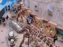 -陕西自然博物馆